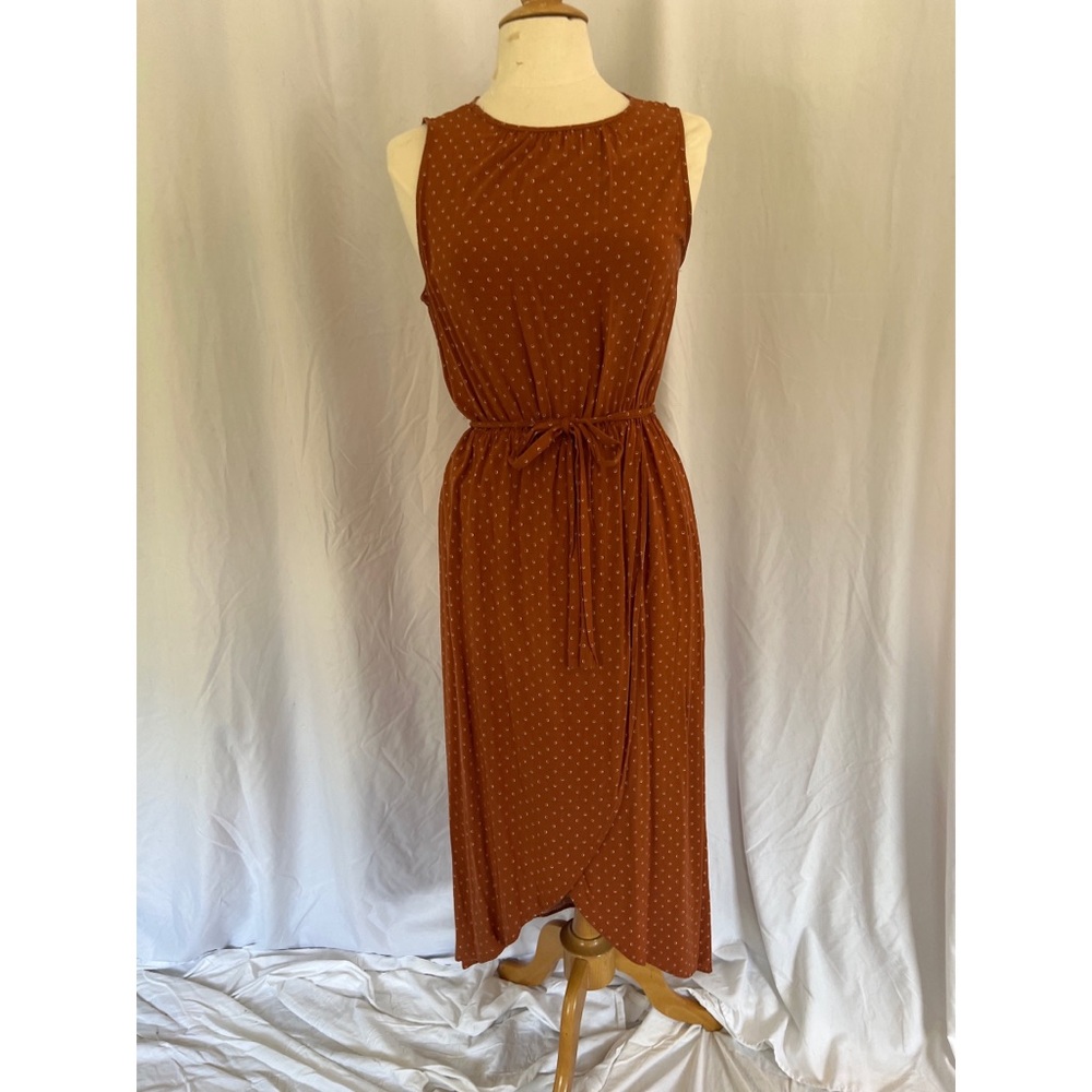Brown Polka Dot Dress